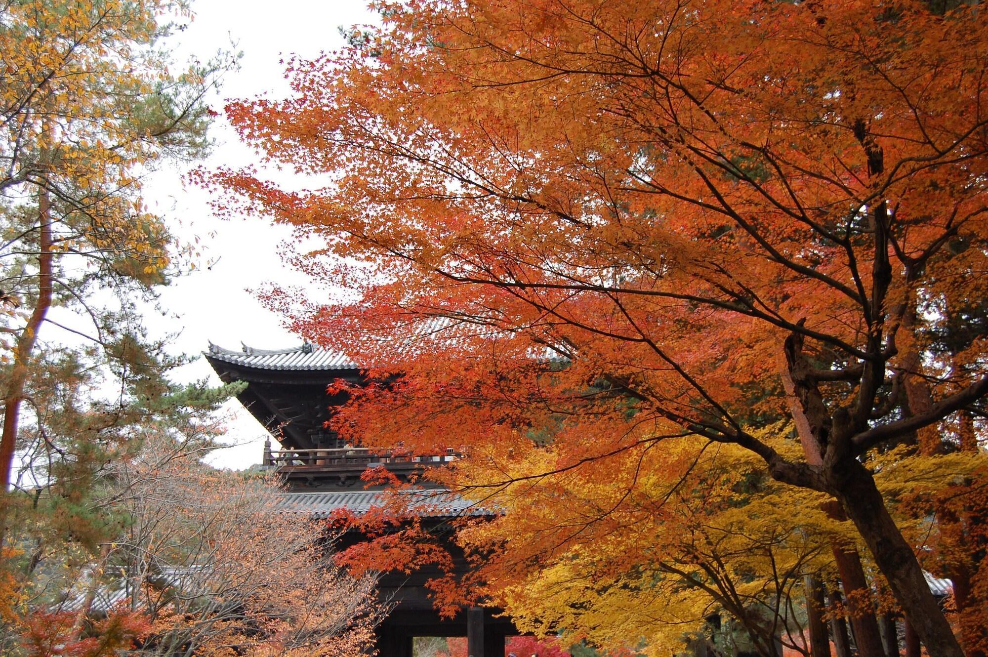 Hotel Keihan Kyoto Ekiminami Экстерьер фото